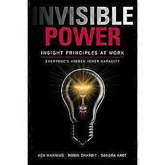Invisible Power: Insight Principles at Work: Everyone's Hidden Capacity