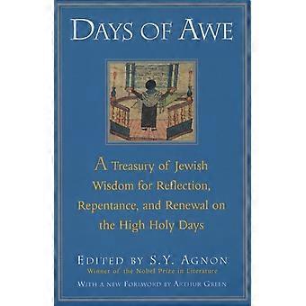 Days Of Awe A Treasury Of Jewish Wisdom For Reflection Repentance And Rene - Shmuel Yosef Agnon