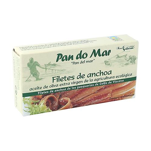 Organic anchovy fillets 50 g