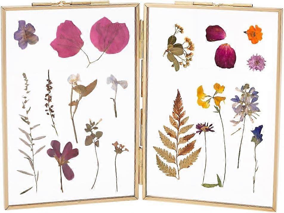 Brass Photo Frames Pressed Flower Frame Double Picture Frames with Glass Display Hinged Folding Frames for Dried