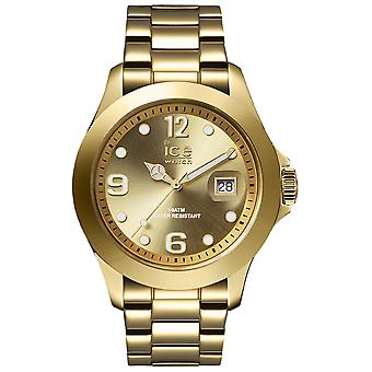 Ice steel Quartz Analog Women Watch with Stainless Steel Bracelet IC016777