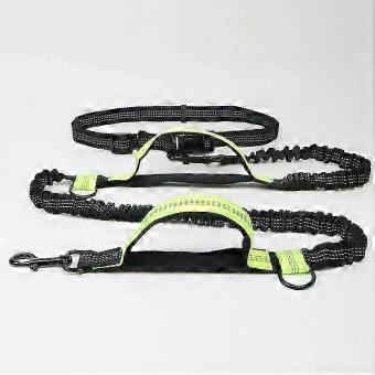 Dual-Bungee Hands-Free Running Leash