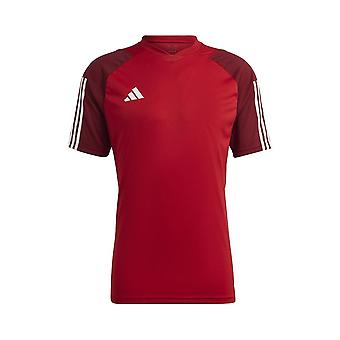 Adidas Tiro 23 Competition HE5661 training all year men