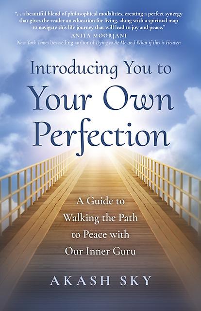 Introducing You To Your Own Perfection by Akash Sky Paperback
