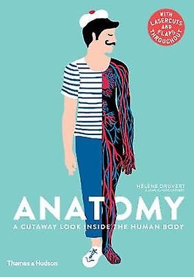 Anatomy by Helene Druvert Hardback Book