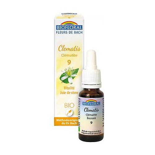 Clematis 20 ml of floral elixir