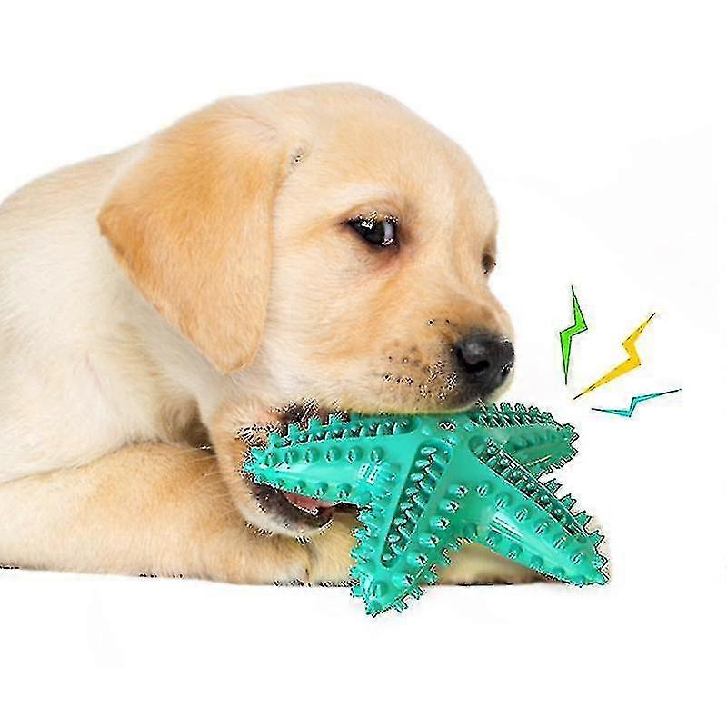 Dog Chew Toy Toothbrushes Starfish Squeaky Molar-lake Blue
