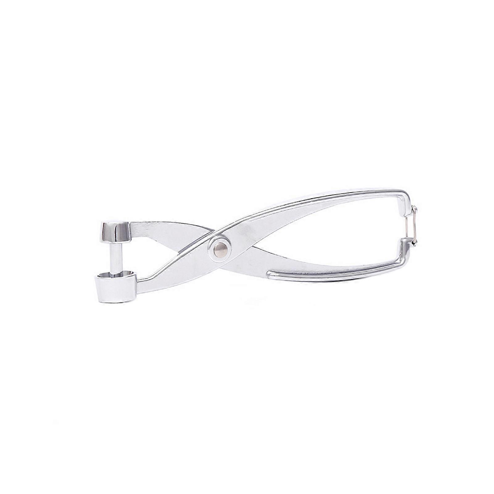 Cherry Pitter Heavy Duty Cherry Pit Extractor Effortlessly Cherry Pits Remover Tool for Home Kitchen