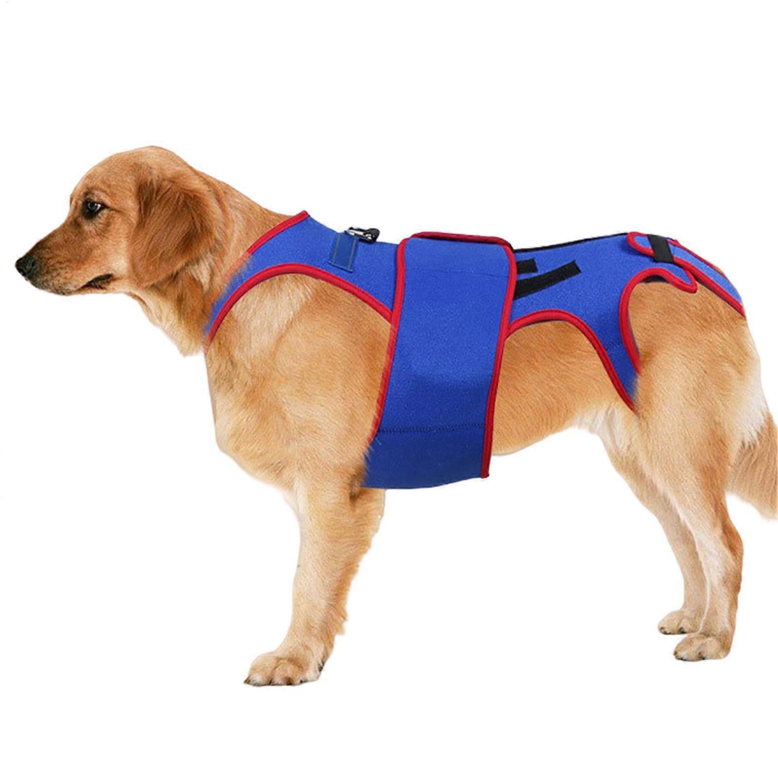 Back Antate for Dogs - IVDD Support Harness for Rehabilitation, Adjustable Size, Durable Material, Lightweight Design