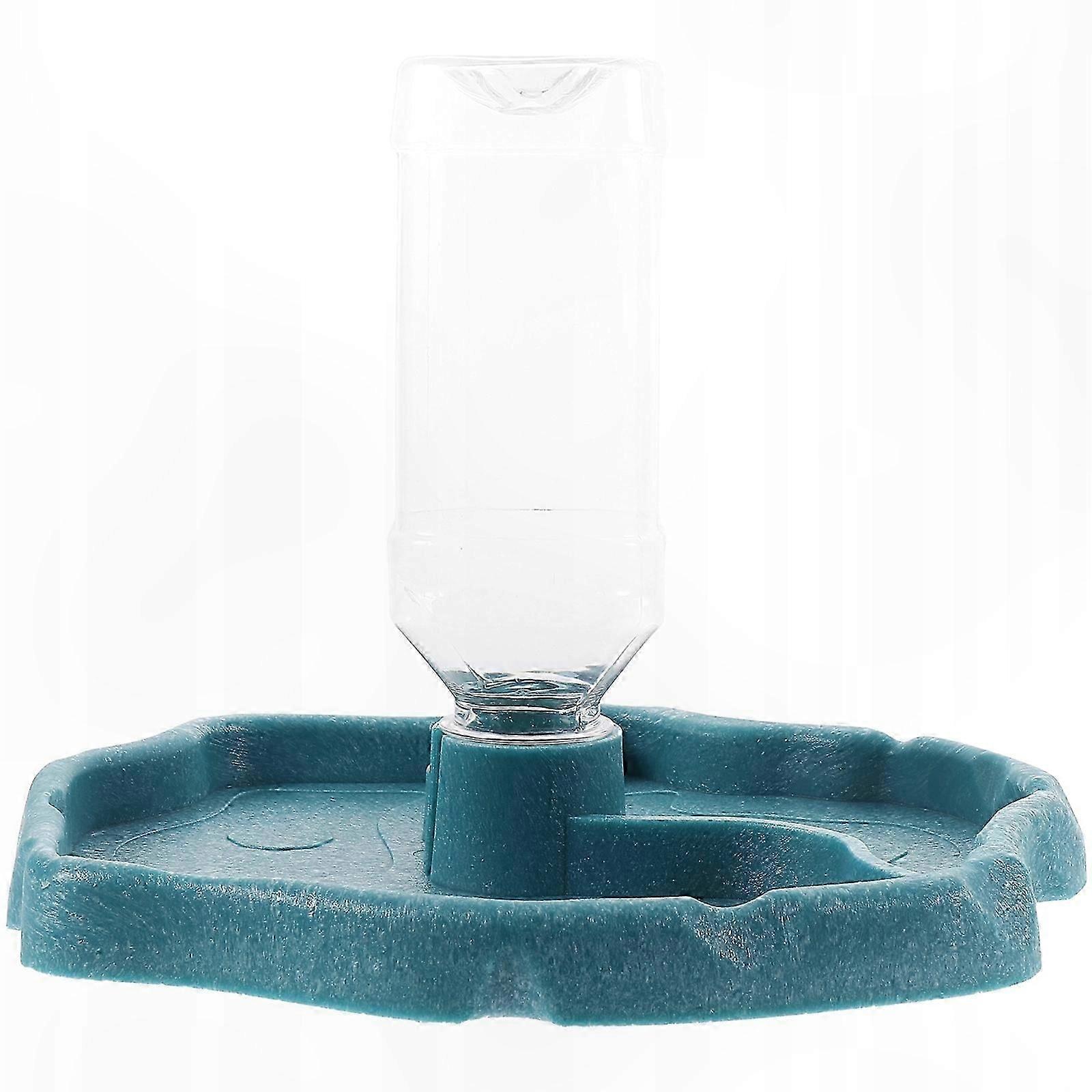 Reptile Feeder Station for Lizards and Turtles