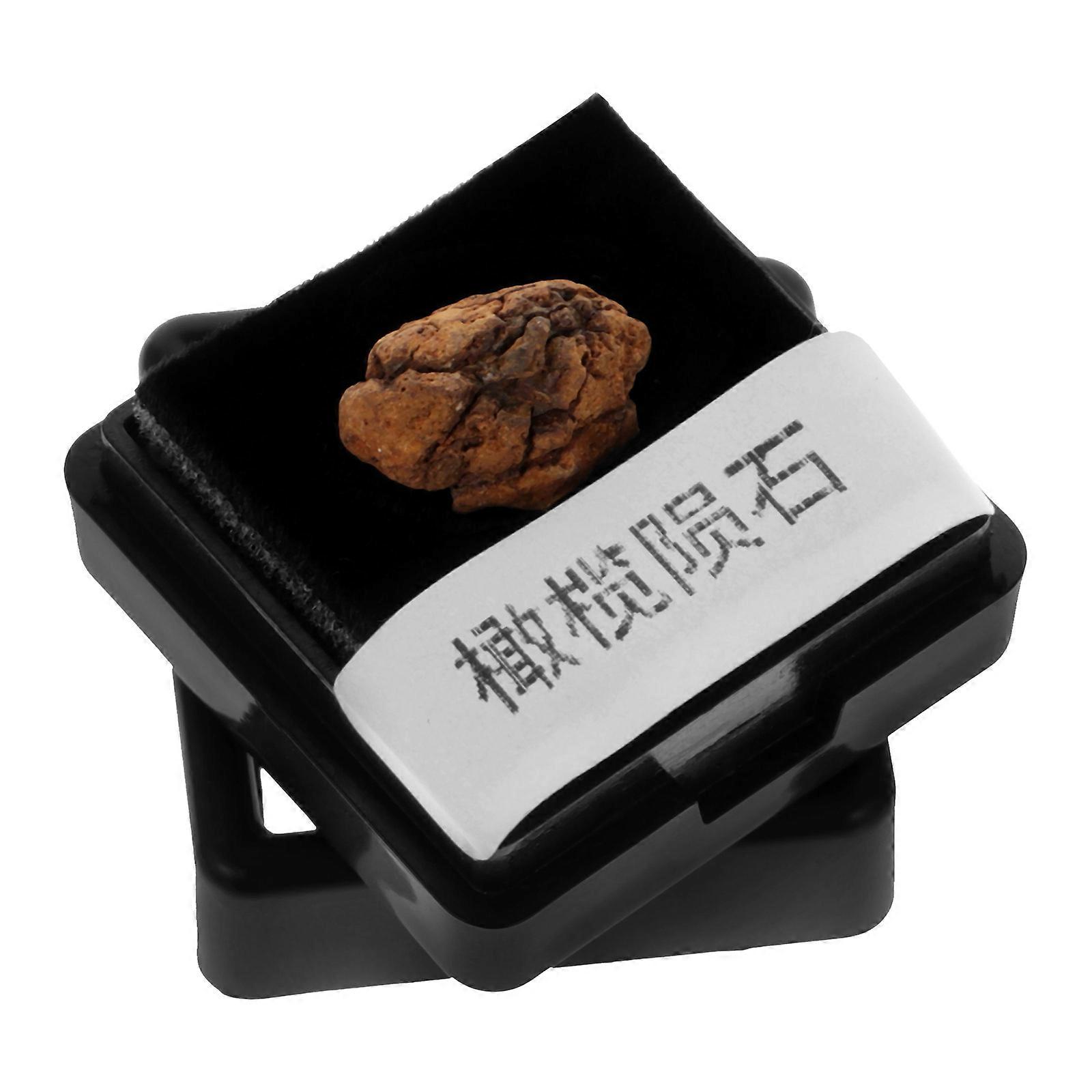 Meteorolite Model Meteorite Stone Sample for Collection 2Pcs
