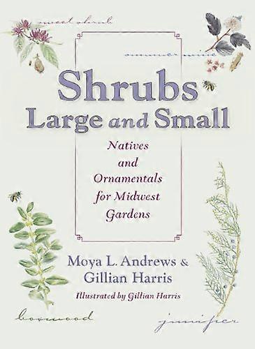 Shrubs Large and Small: Natives and Ornamentals for Midwest Gardens