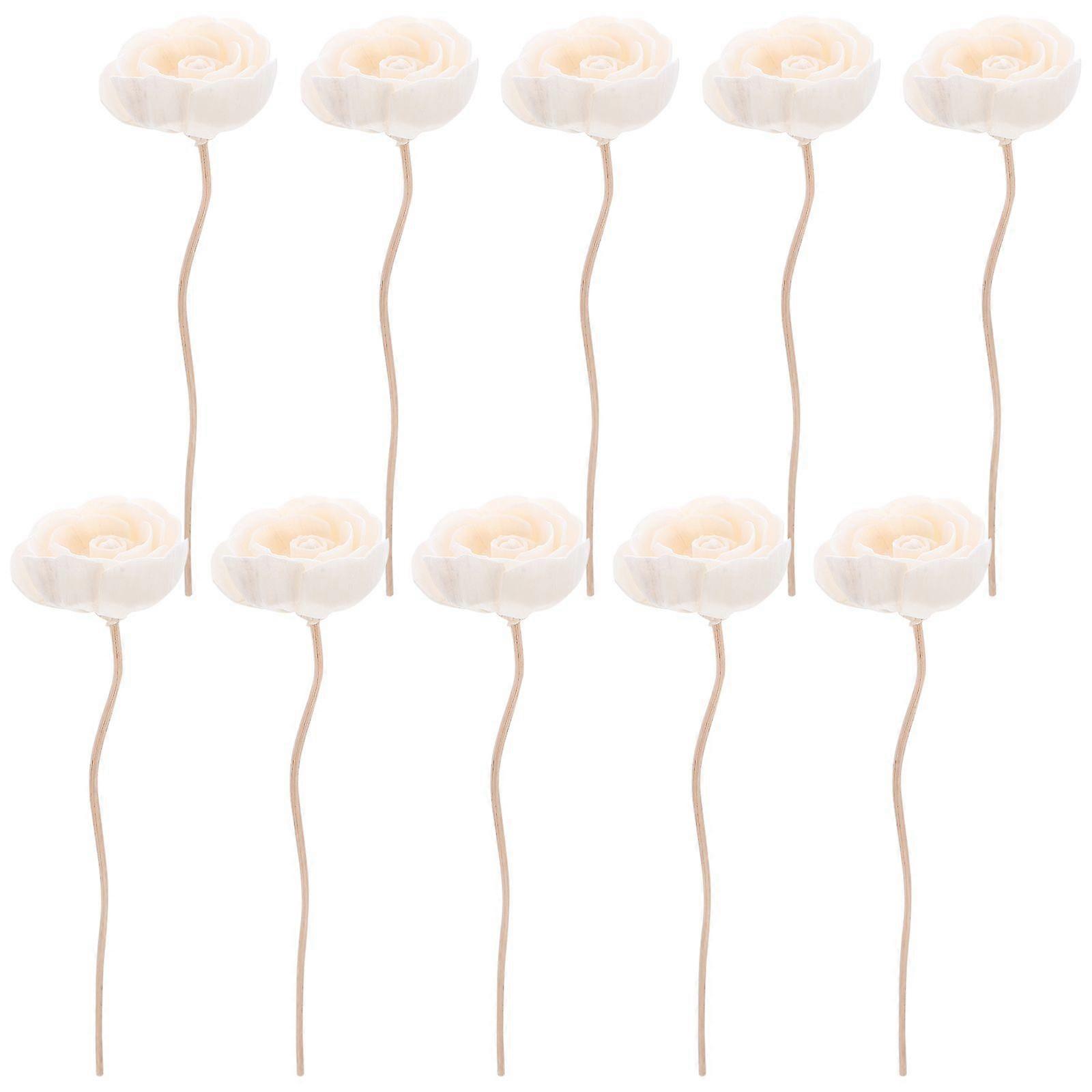 10pcs Dried Flower Diffuser Sticks Essential Oil Diffuser Aroma Sticks for home