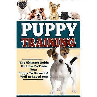Welpentraining: Der ultimative Leitfaden, wie Sie Ihren Welpen zu einem gut erzogenen Hund erziehen können