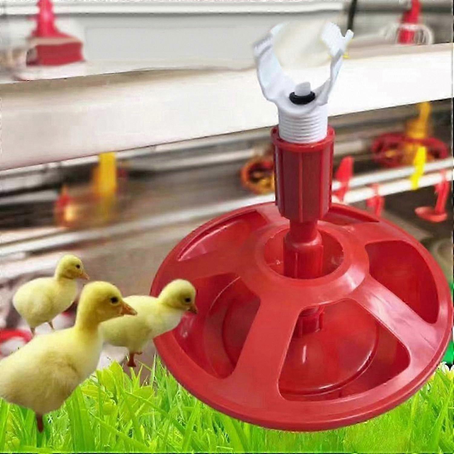 Poultry Watering System, Automatic Chicken Drinker, Farm Hydration Solution