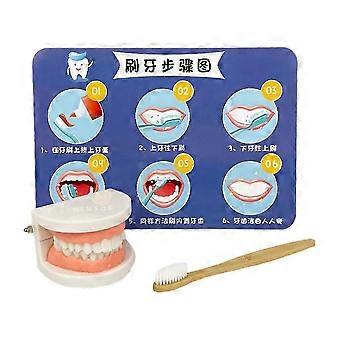Tandpoetsmodel voor kinderen, speelset voor vroegtijdse educatie, rollenspel en mondverzorging. Veilig, lichtgewicht, geschikt voor peuters van 0-3 jaar, 1 set.