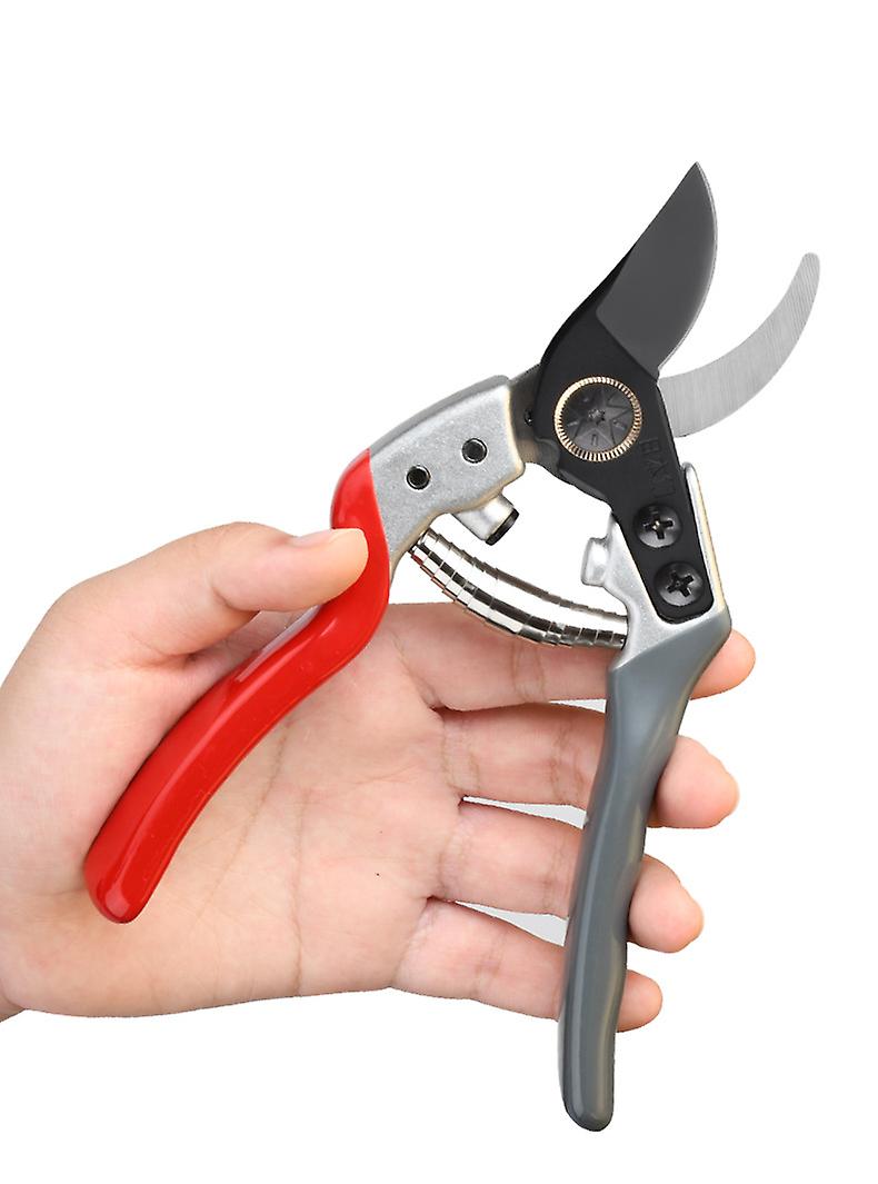 Professional branch and garden cutting