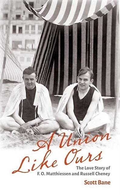 A Union Like Ours by Scott Bane Paperback Book