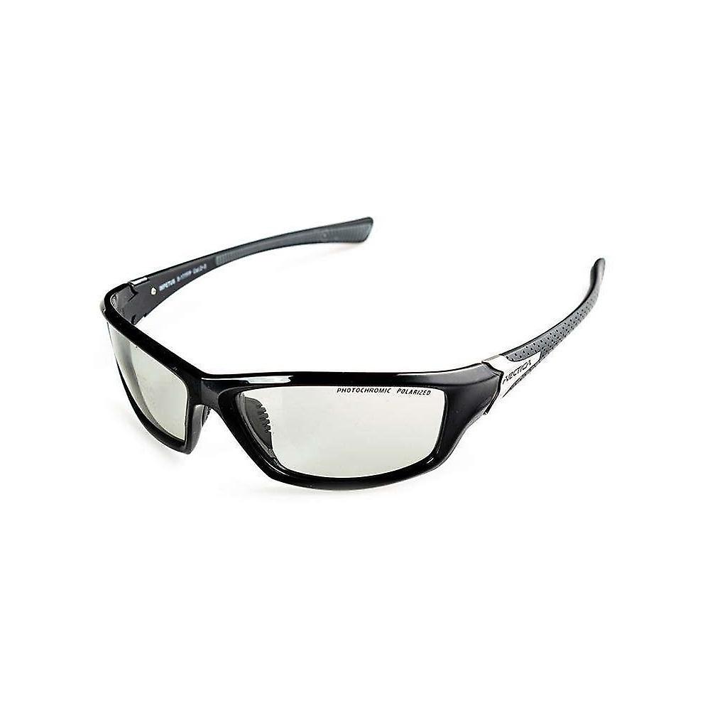 Sunglasses Arctica Impetus s177FP