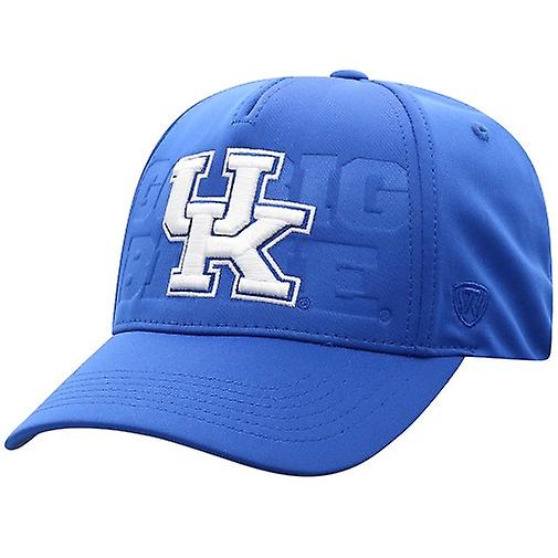 Kentucky Wildcats NCAA TOW Five Head Snapback Hat