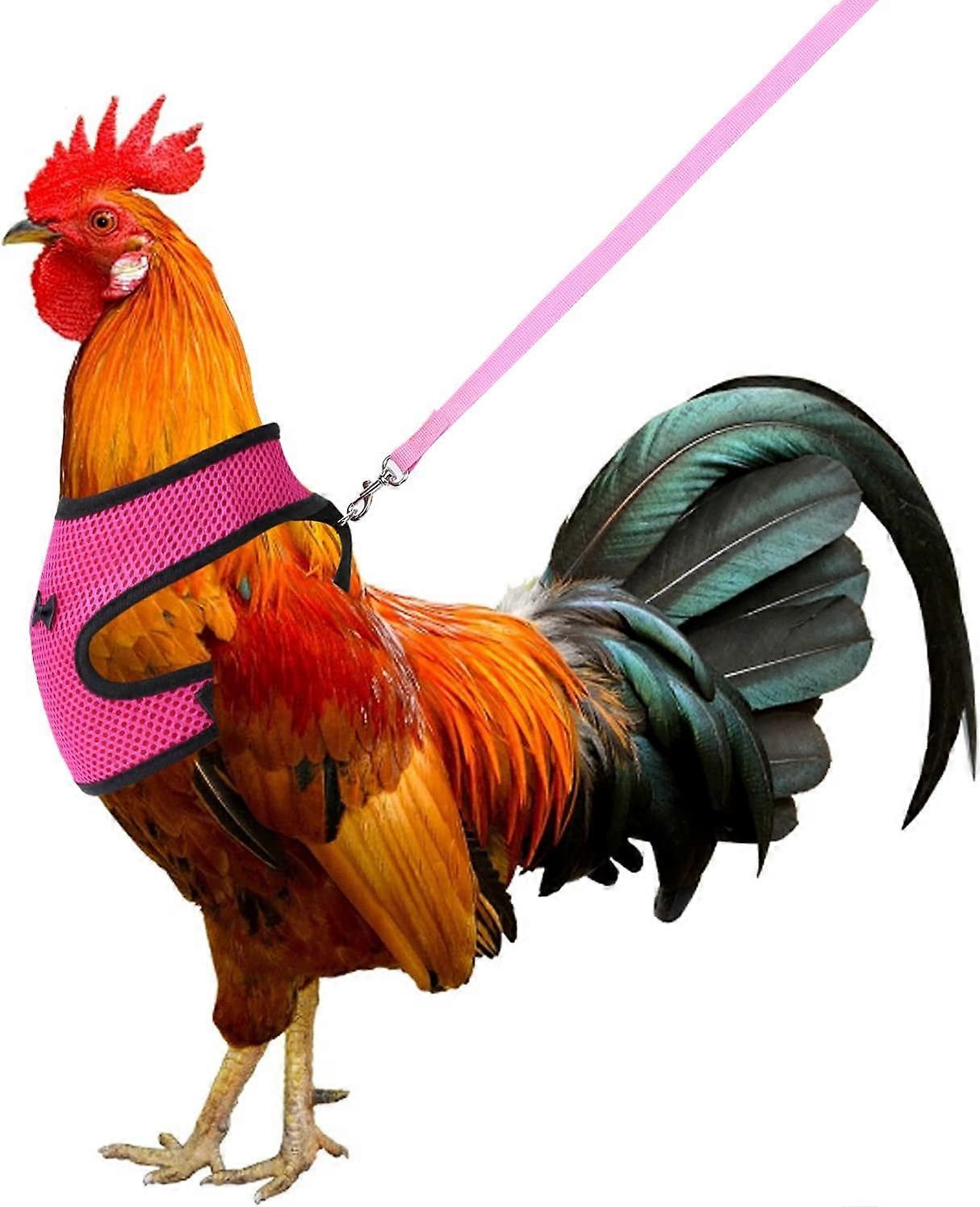 Adjustable Breathable Harness with Leash for Hen, Duck, Goose, Hen, Walk, Size M (Pink)