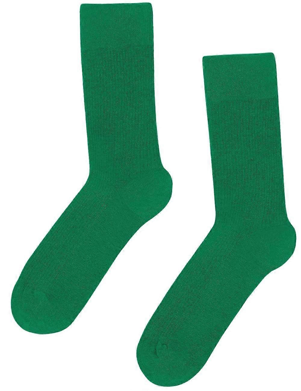 Men's Colorful Standard Women's Classic Organic Socks - Kelly Green