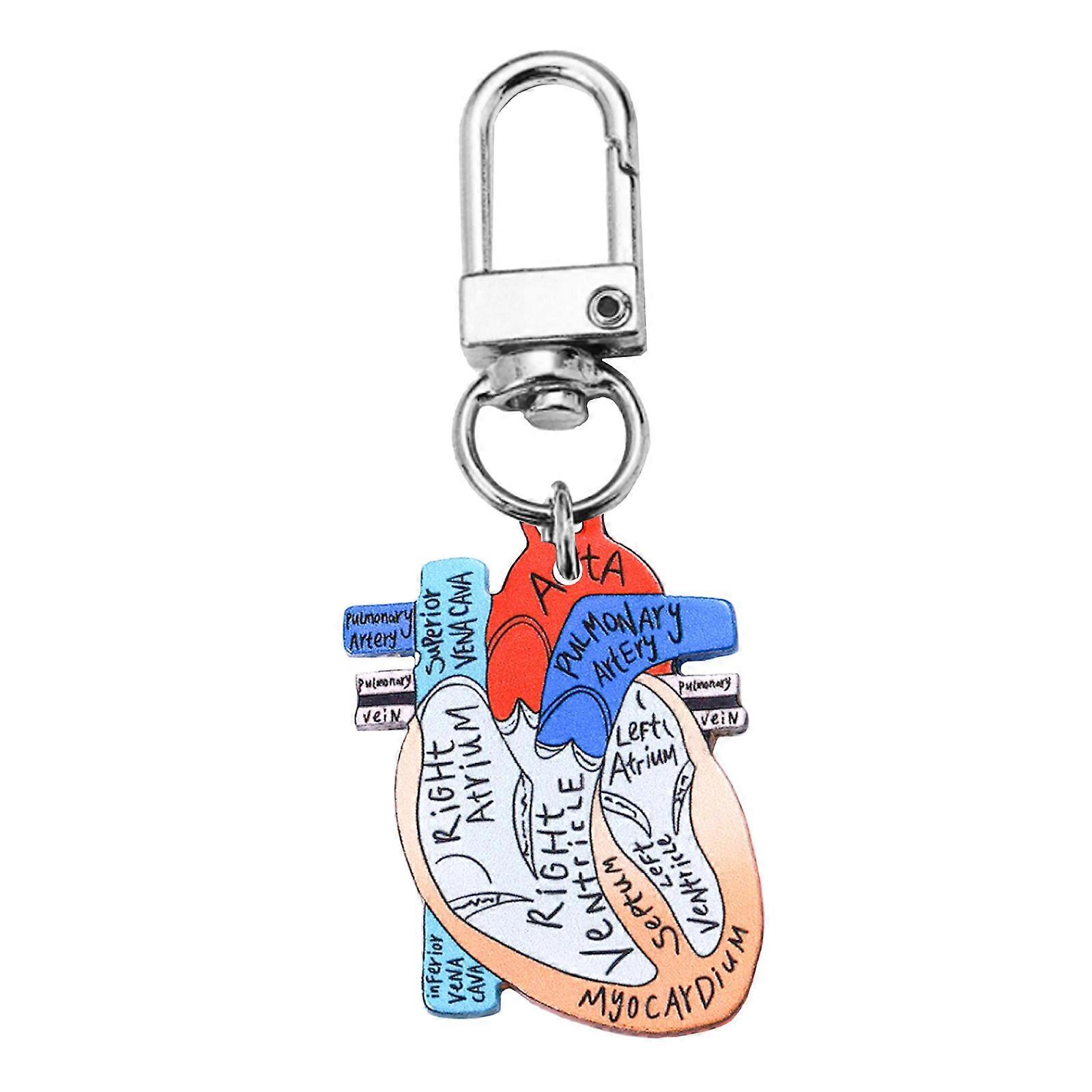 Portable Human Organs Keychain Heart Anatomy Keychain Lightweight Key Rings Accessory for Healthcare Workers