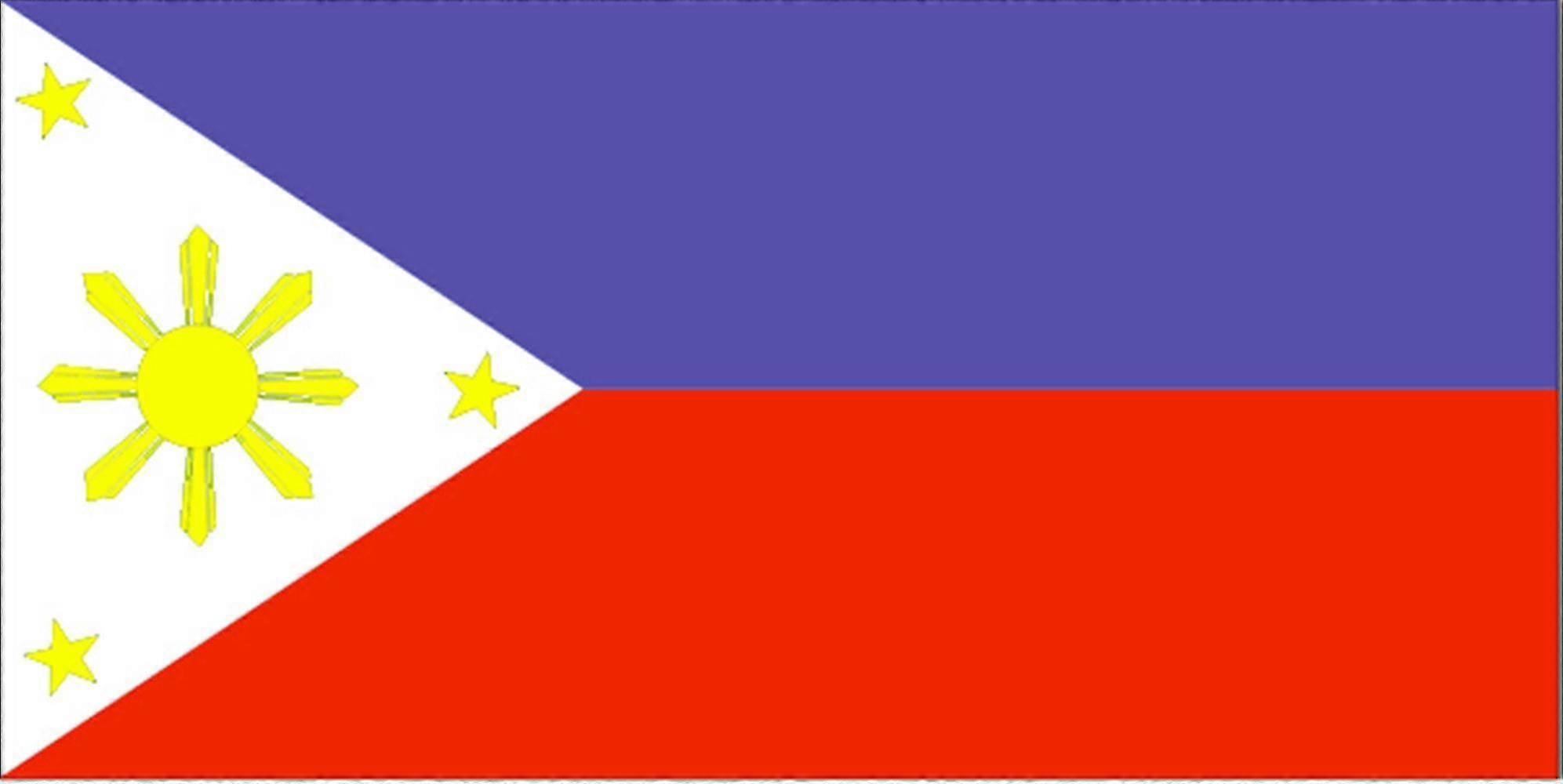 Drapeau Divers Pays du Monde Polyester Drapeau