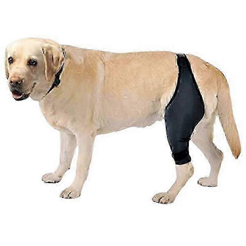 Knee Brace for Dog ACL Support, Joint Warmth and Pain Relief for Cap Dislocation and Arthritis - Provides Extra Stability and Comfort