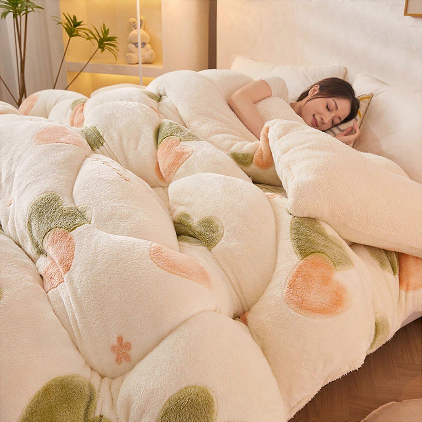 Warm And Thickened Quilt Core Anti-Allergy 150x200cm Double Fleece Blanket Soft Flannel Duvet 3.5Kg 001