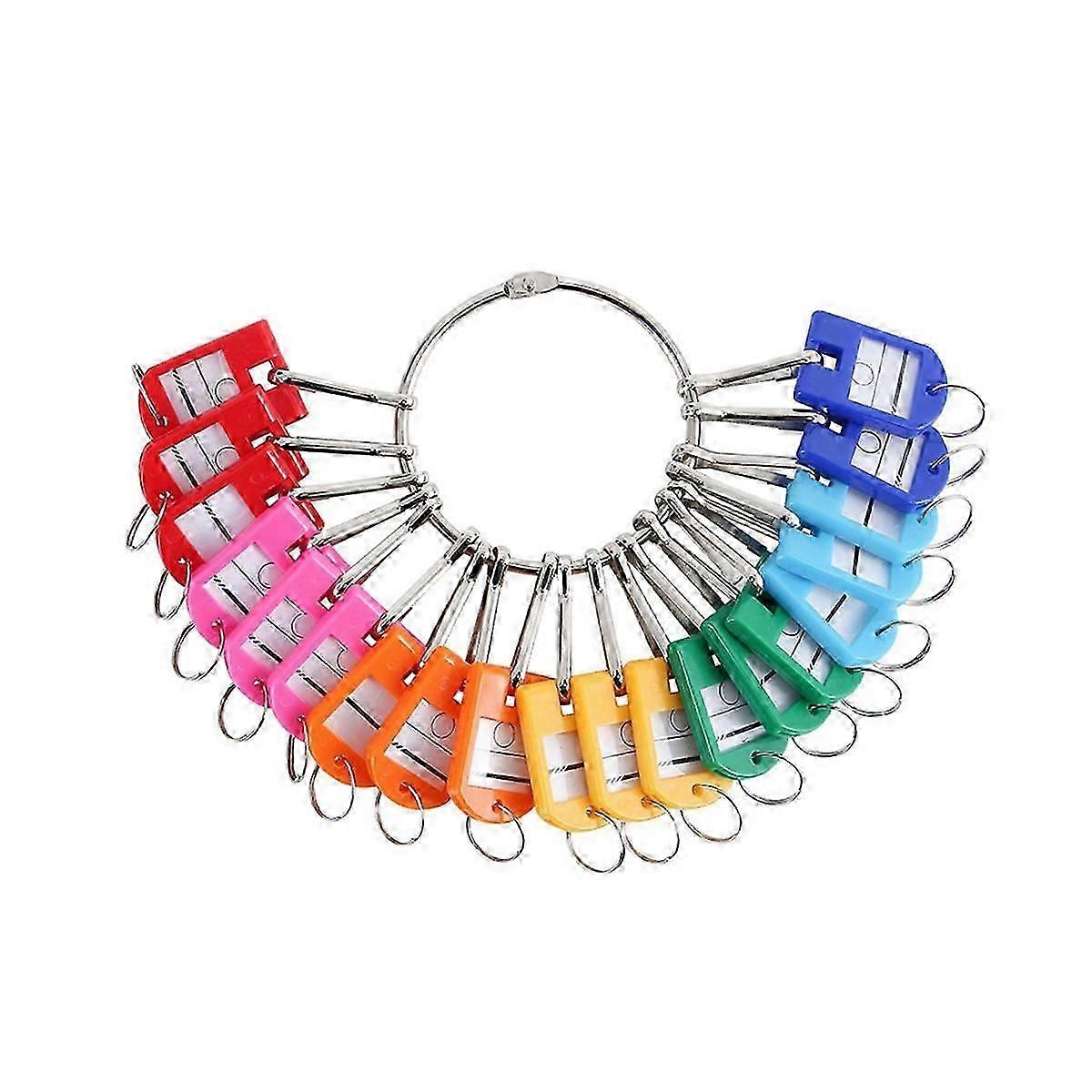 Portable Metal Ring Key Organizer with 30 Spring Hooks & Key Tags with Ring and Label Window