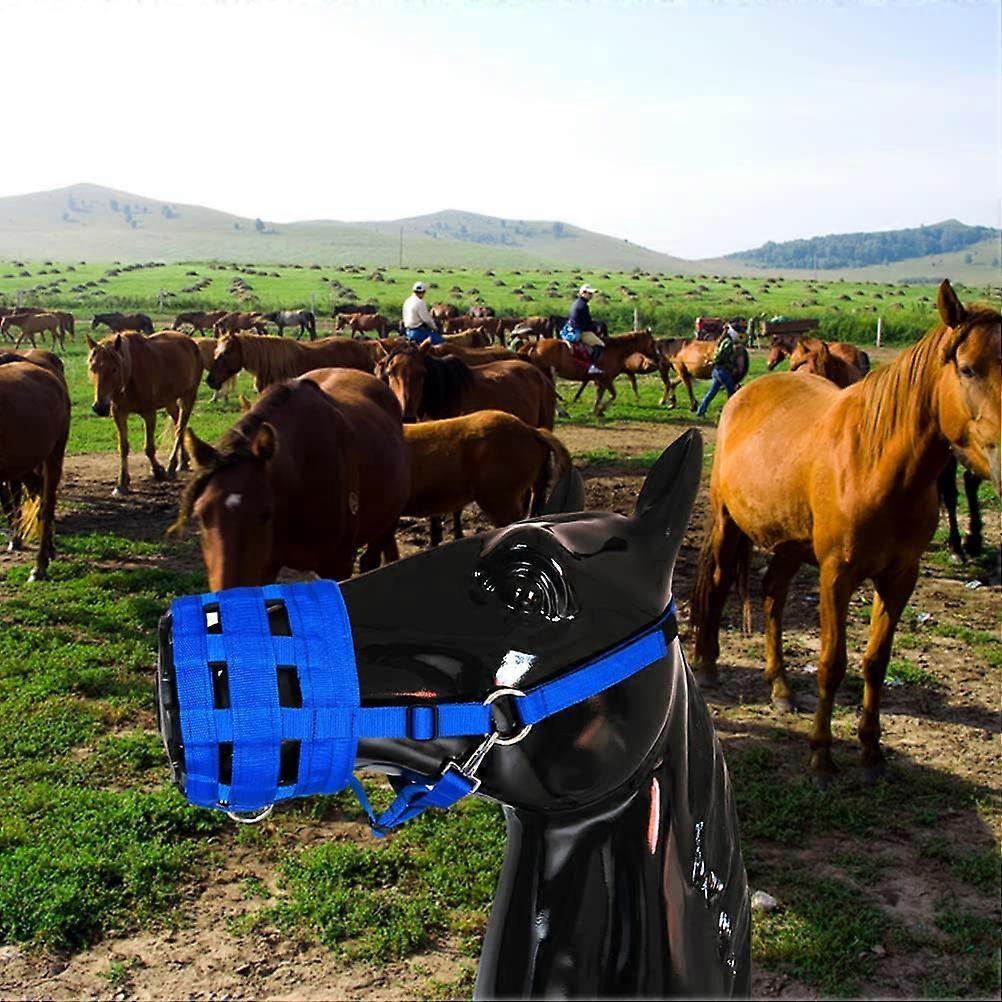 Thickened Nylon Webbing Anti Bite Muzzle With PU Leather Cushion Blue