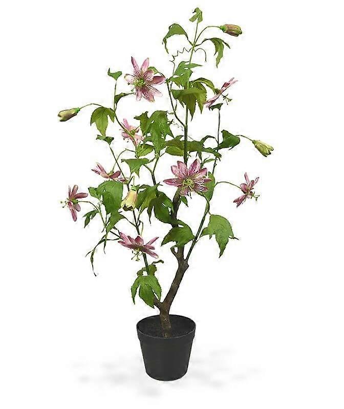Passion flower (90 cm)