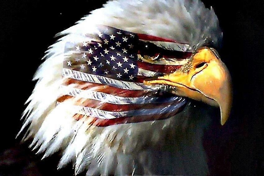 5D كامل الماس اللوحة دي الصليب غرزة حجر الراين فسيفساء الحمام الديكور النسر الأمريكي