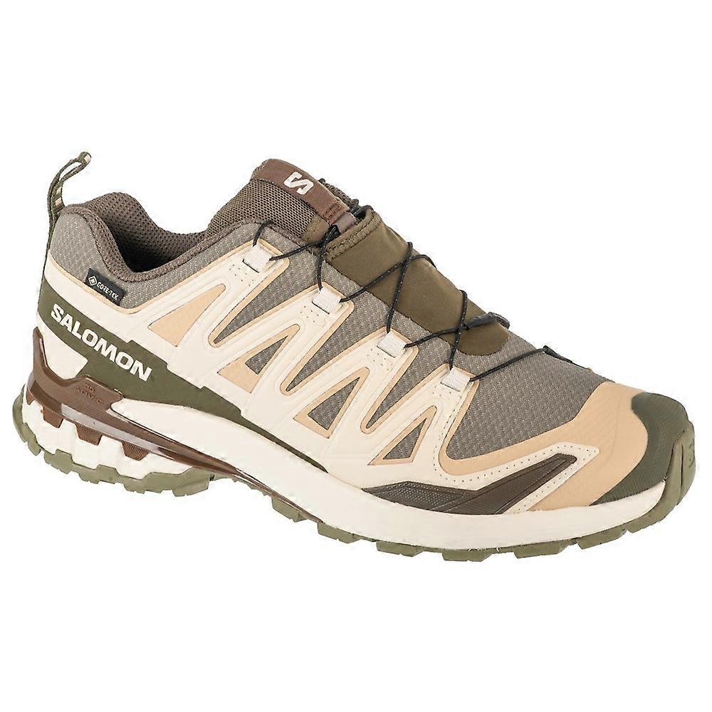 Shoes Salomon Xa Pro 3d V9 L47820200