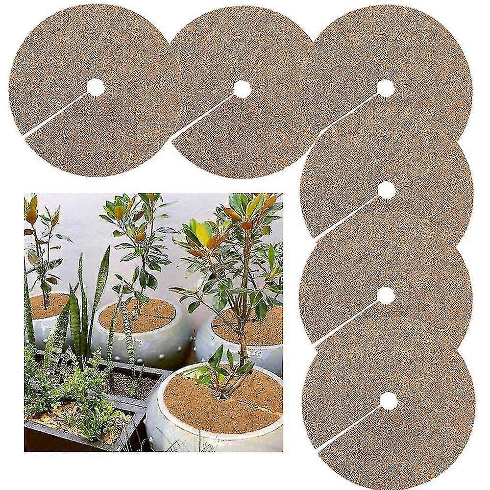 6pcs Coconut Fibers Mulch Ring Tree Protector Mat Tree Ring Mats30cmSZRH A-S