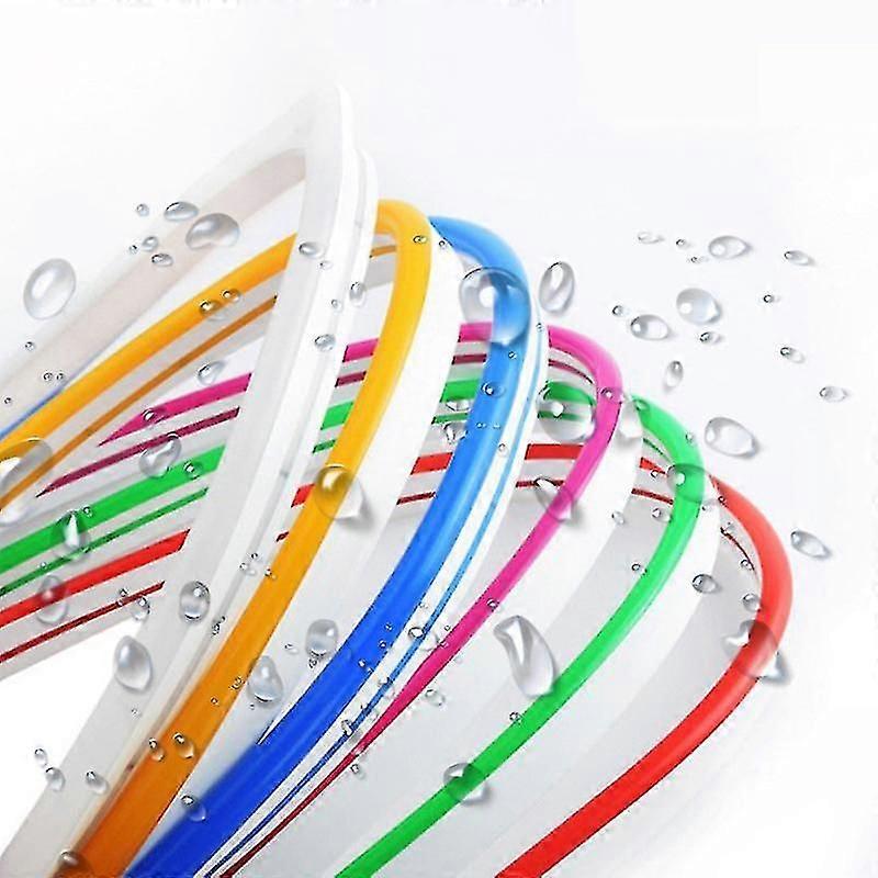Decorative Single-Color Neon Flex LED Strip  5 Meters