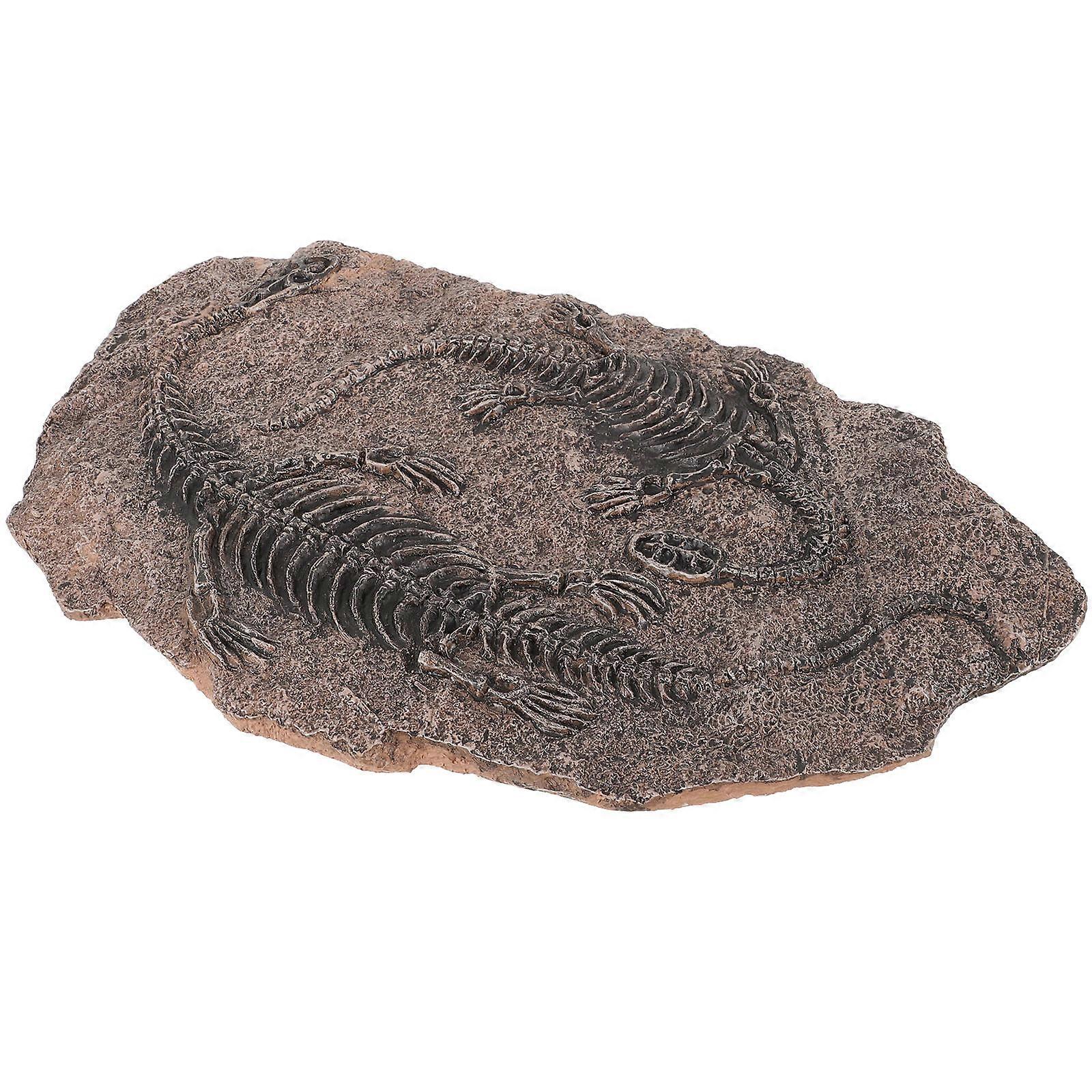 Dinosaur Resin Decoration for Student Teaching 2Pcs Pack
