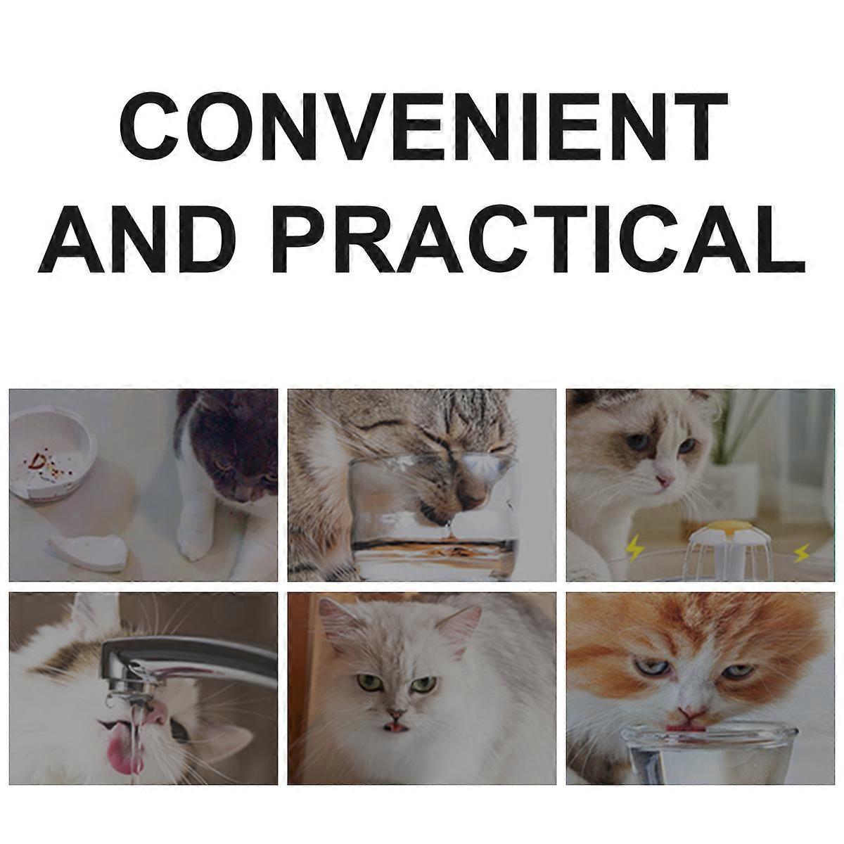 Cat Dish Tilts Bowl Anti-Overturn Feeding Time 13X13CM Plastic 1Pack