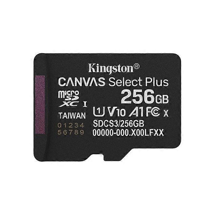 KINGSTON 256 Go microSDXC Canvas