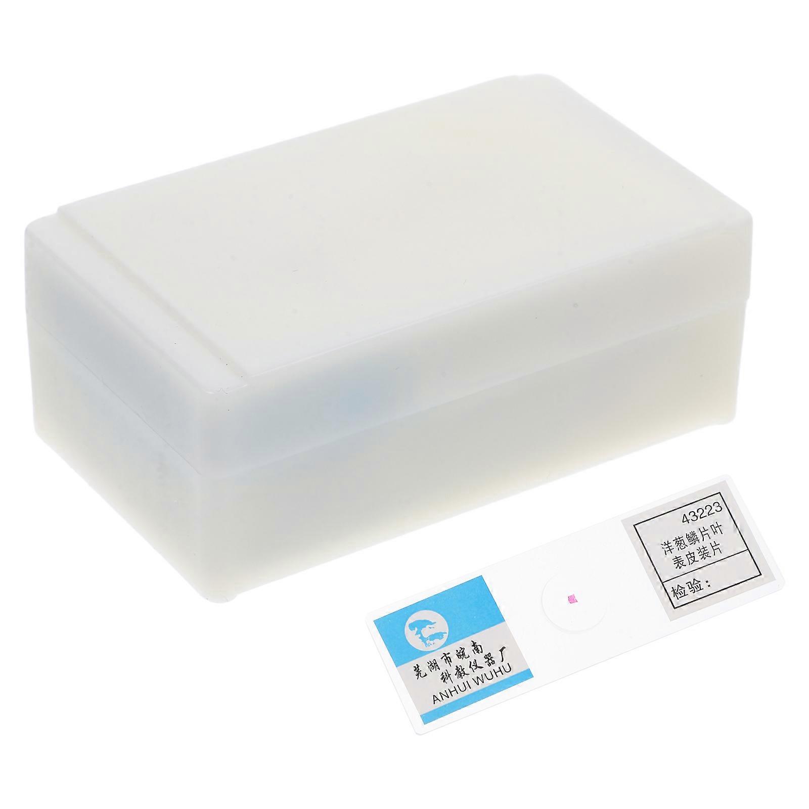 Biology Prepared Microscope Slides for Education 1Set Scientific Study Slides