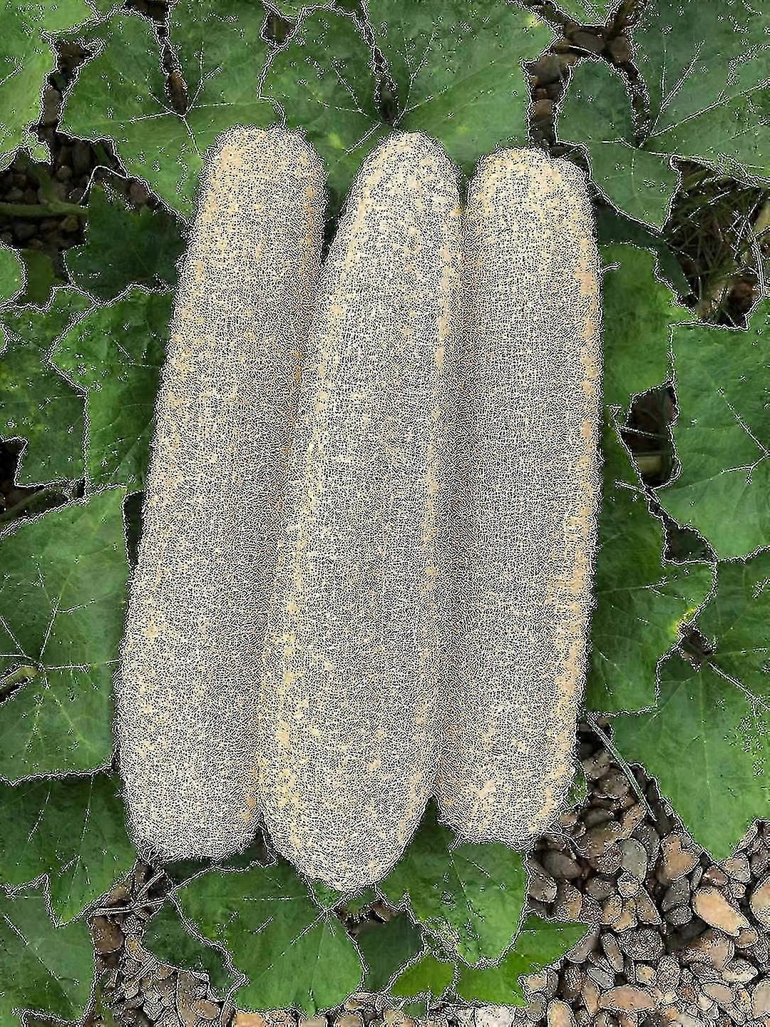 3 stk eksfolierende kroppssvamp for menn og kvinners daglige dusj