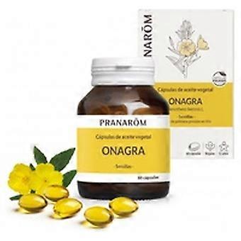 Evening Primrose Vegetable Oil Capsules 60 capsules