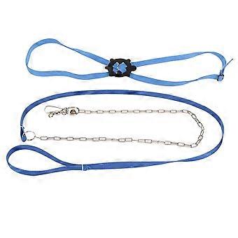 Turtle Harness Leash Adjustable Skin Friendly Pet Harness Reptile Leash for Outdoor Blue L
