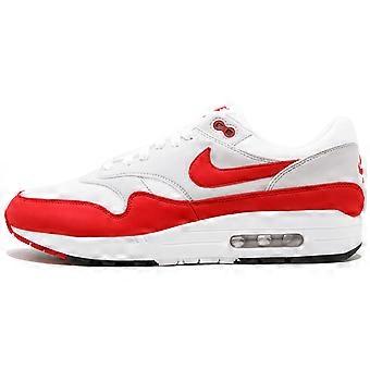 Nike Air Max 1 Anniversary Red 2017/2018 Restock Pair 908375-103