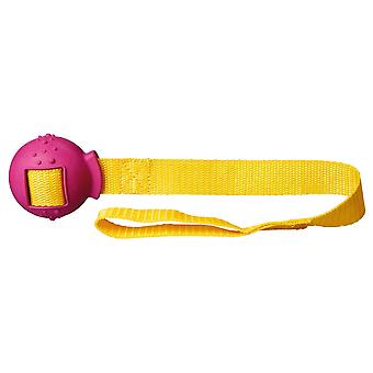 Rubber Ball With Rope Dog Toy