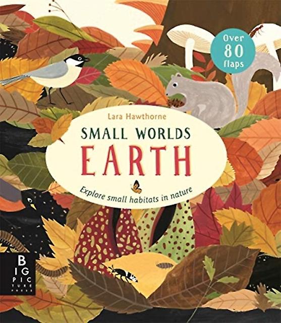 Small Worlds Earth - Camilla De La Bedoyere