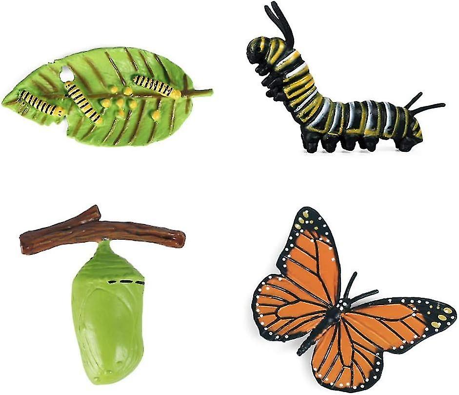 Simulation Animal Model Toy, Nature Butterfly Growth Life Cycle Model Kids Student Biology Classroom