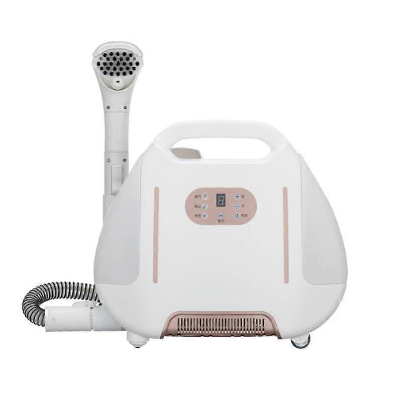 Handheld Carpet Cleaning Hine 110v/220v With Water Vacuum For Fabric Tapestry Steam Cleaner