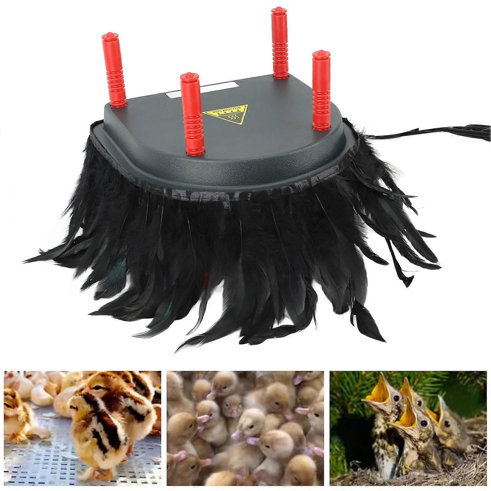 Chick Heater Brooder Plate 13W Chick Brooder Heating Plate Chicken Warmer for Baby Chicken Duckling 220V